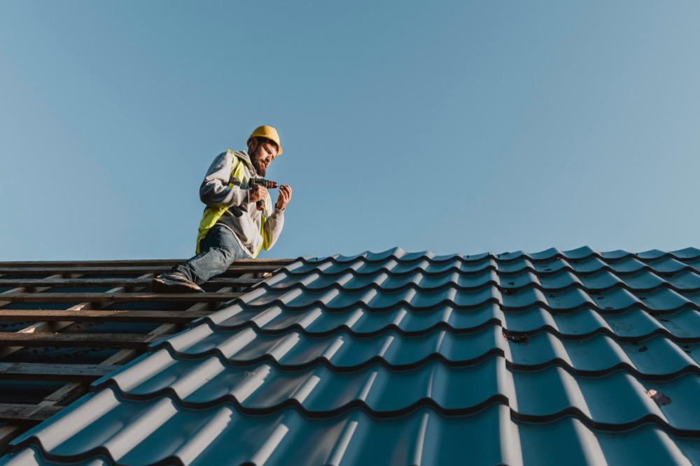 Shingles Roof Resized