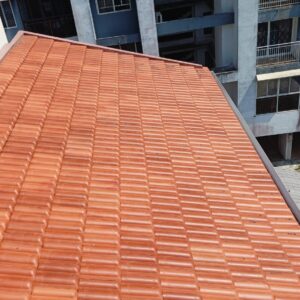 M. Vidhu - Kariyavattam