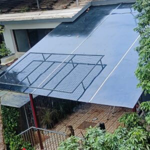 Ramesh Balan - Sreekaryam