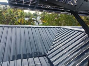 Jeevan - Pippinmoodu